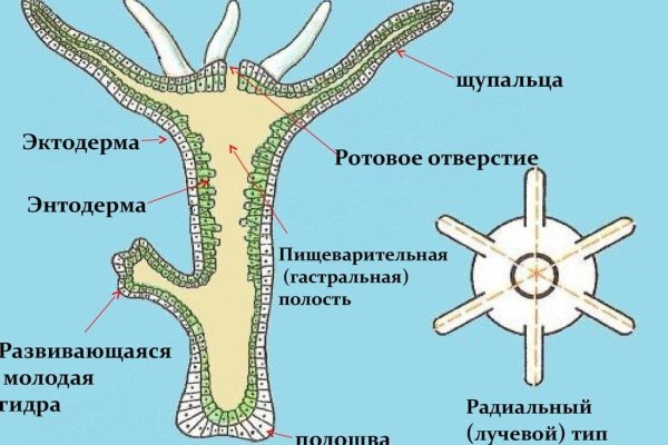 Кракен актуальные ссылки на сегодня