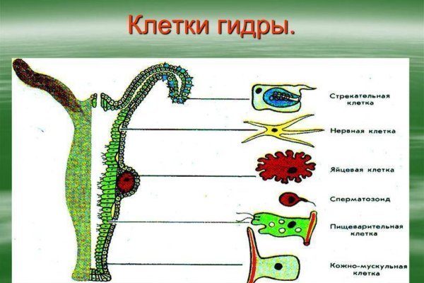 Зарегистрироваться на сайте кракен