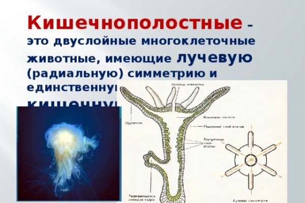 Кракен ссылки тор рабочая